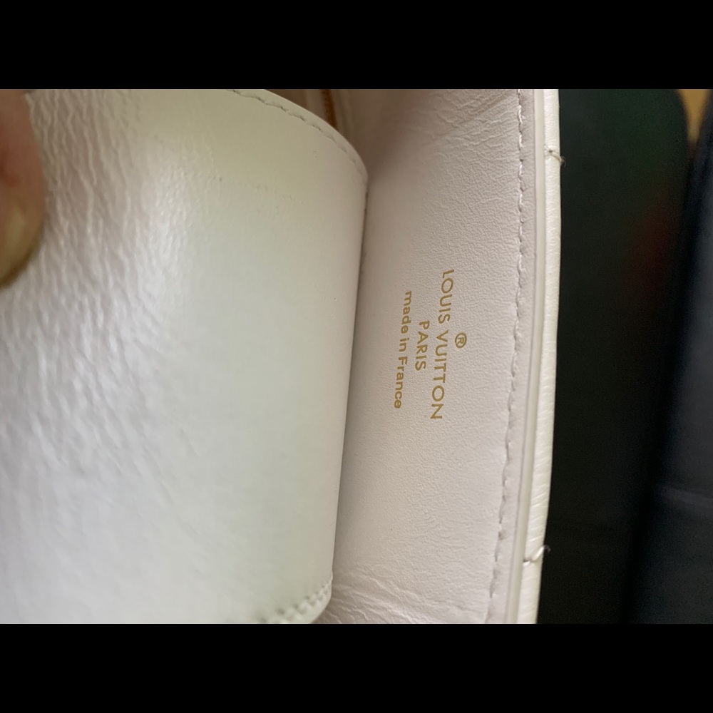 LV bag